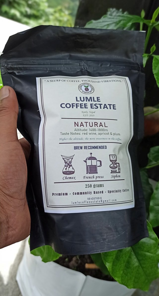 Lumle coffee packaging